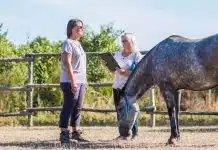 Equicoaching : qu’est-ce que c’est et à quoi ça sert